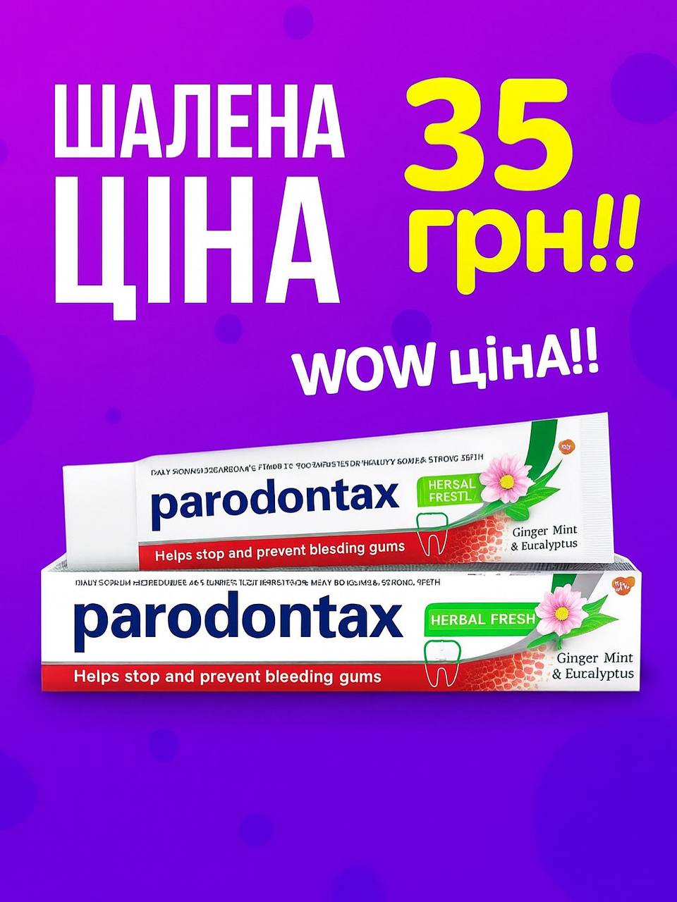 FRESHHOUSE галерея